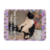 Tuxedo Cat Sleeping Funny Quote cats Magnet Magneet (Horizontaal)