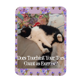 Tuxedo Cat Sleeping Funny Quote cats Magnet Magneet