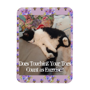 Tuxedo Cat Sleeping Funny Quote cats Magnet Magneet
