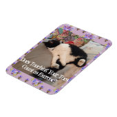 Tuxedo Cat Sleeping Funny Quote cats Magnet Magneet (Linkerzijde)