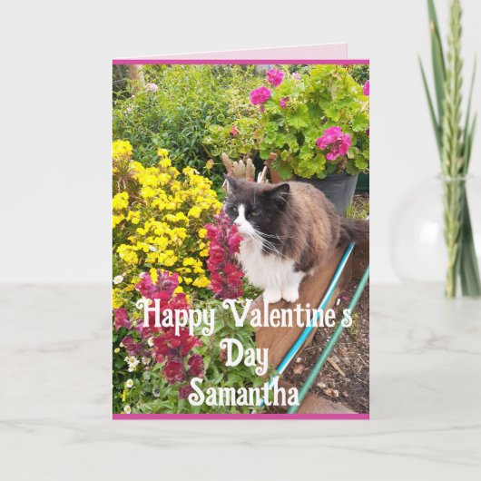 Tuxedo Cat Sniffing Flowers Funny Valentines Day Kaart (Voorkant)