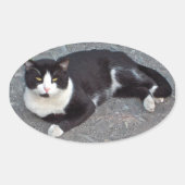 Tuxedo Cat Sticker (Voorkant)