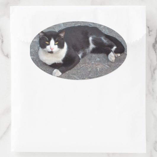 Tuxedo Cat Sticker (Tas)