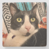 Tuxedo Cat Stone Onderzetter (Voorkant)