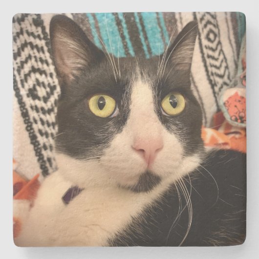 Tuxedo Cat Stone Onderzetter (Voorkant)