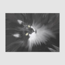 Tuxedo Cat Tissuepapier