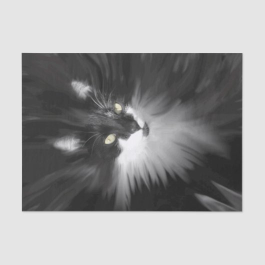 Tuxedo Cat Tissuepapier (Voorkant)