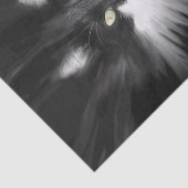 Tuxedo Cat Tissuepapier (Detail)