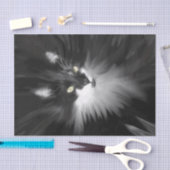 Tuxedo Cat Tissuepapier (Craft)