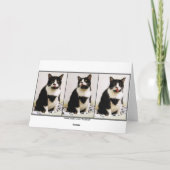 Tuxedo Cat Verjaardag Humor Kaart (Achterkant)