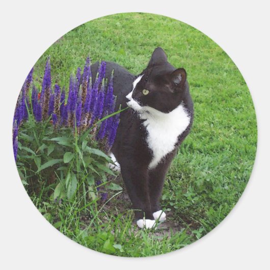 Tuxedo cat-waterverf ronde sticker (Voorkant)
