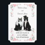 Tuxedo Cat Wedding Kaart<br><div class="desc">Liefde tuxedo katten? Dit is perfect voor jou.</div>