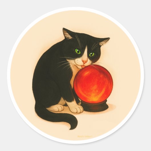 Tuxedo cat with red crystal ball ronde sticker (Voorkant)