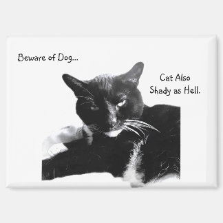 Tuxedo Cat with Shady Smile  Magneet