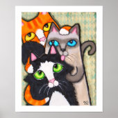 Tuxedo Cat's Bath Poster (Voorkant)