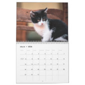 Tuxedo Cats Photo Wall Agenda Kalender (Mar 2026)