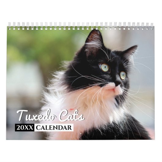Tuxedo Cats Photo Wall Agenda Kalender (Hoes)