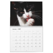 Tuxedo Cats Photo Wall Agenda Kalender (Jan 2027)