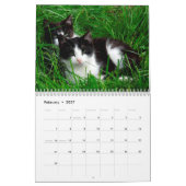 Tuxedo Cats Photo Wall Agenda Kalender (Feb 2027)