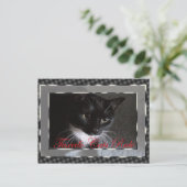 Tuxedo Cats Rule Briefkaart (Staand voorkant)