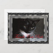 Tuxedo Cats Rule Briefkaart (Voorkant / Achterkant)