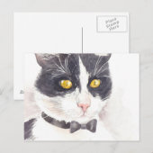 Tuxedo-kat Briefkaart (Voorkant / Achterkant)