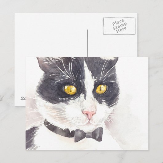 Tuxedo-kat Briefkaart (Voorkant / Achterkant)