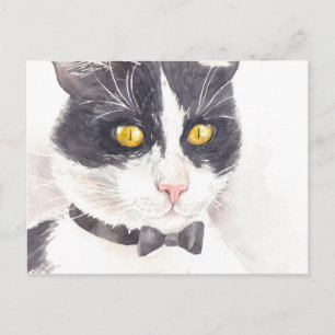 Tuxedo-kat Briefkaart