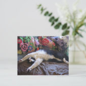 Tuxedo kat Cute die een Mexicaanse golf doet ansic Briefkaart (Staand voorkant)