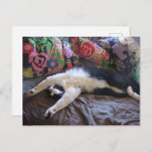 Tuxedo kat Cute die een Mexicaanse golf doet ansic Briefkaart (Voorkant / Achterkant)