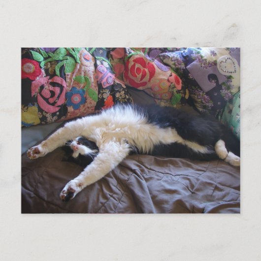 Tuxedo kat Cute die een Mexicaanse golf doet ansic Briefkaart (Voorkant)