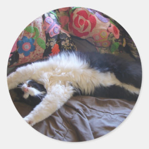 Tuxedo kat Cute die een Mexicaanse golf doet Ansic Ronde Sticker
