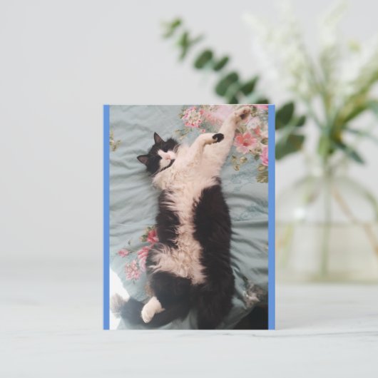 Tuxedo Kat Cute Doet een Blij Dansen Ansichtkaart Briefkaart (Staand voorkant)
