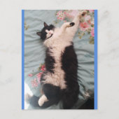 Tuxedo Kat Cute Doet een Blij Dansen Ansichtkaart Briefkaart (Voorkant)