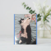Tuxedo Kat Cute Doet een Blijde Dans Ansichtkaart Briefkaart (Staand voorkant)