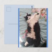 Tuxedo Kat Cute Doet een Blijde Dans Ansichtkaart Briefkaart (Voorkant / Achterkant)