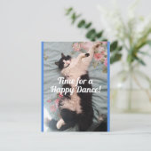 Tuxedo Kat Cute Doet een Gelukkige Dans Ansichtkaa Briefkaart (Staand voorkant)