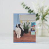 Tuxedo Kat Cute met Mooie Bloemen Blauwe Ansichtka Briefkaart (Staand voorkant)