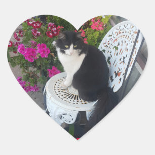 Tuxedo kat Cute met mooie bloemen Zwarte katten Hart Sticker