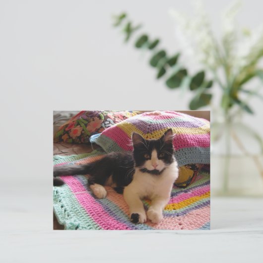 Tuxedo Kat Cute met Mooie Gehaakte Kleed Ansichtka Briefkaart (Staand voorkant)