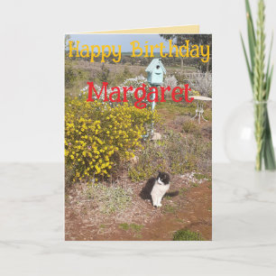 Tuxedo Kat Cute Rood Geel Verjaardag Naam Van Vrou Kaart