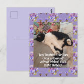 Tuxedo Kat Cute Verjaardag Tenen Ansichtkaart Briefkaart (Voorkant / Achterkant)