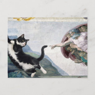 Tuxedo Kat die de Heilige Poot Aanraakt Briefkaart