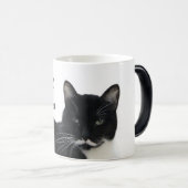 Tuxedo Kat Ernstig Magische Mok (Voorkant rechts)