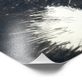 Tuxedo-kat Foto Afdruk (Hoek)