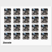 Tuxedo Kat Graaft een Maankrater Vierkante Sticker (Vel)