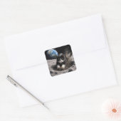 Tuxedo Kat Graaft een Maankrater Vierkante Sticker (Envelop)