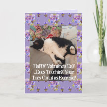 Tuxedo Kat Grappig Tenen Aanraken Valentijnsdag