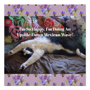 Tuxedo kat grappige lieve doet een Mexicaanse golf Perfect Poster
