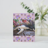 Tuxedo kat grappige lieve Mexicaanse golf citaat Briefkaart (Staand voorkant)